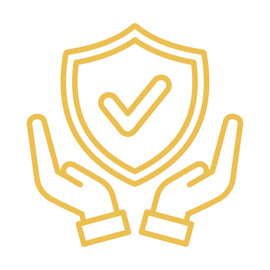 Integrity Icon